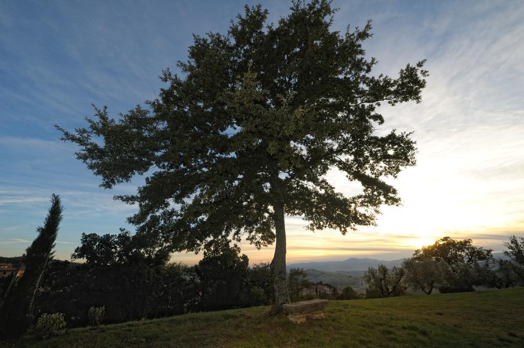 Il Podere Degli Artisti Hotell San Casciano dei Bagni Exteriör bild