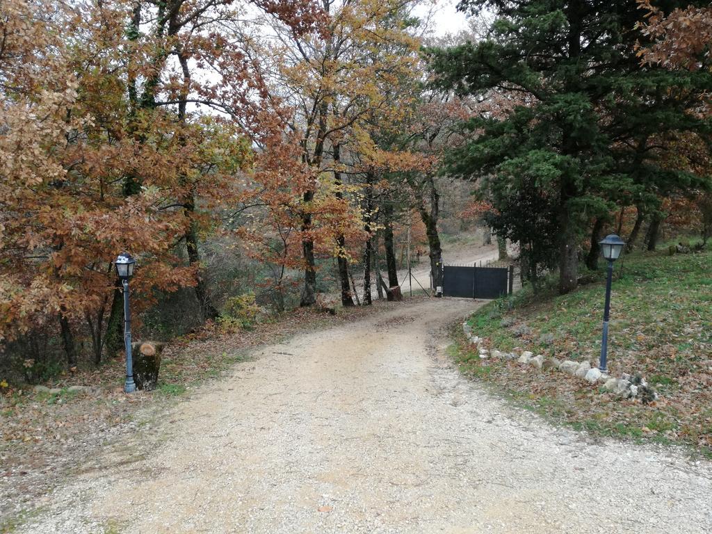 Il Podere Degli Artisti Hotell San Casciano dei Bagni Exteriör bild